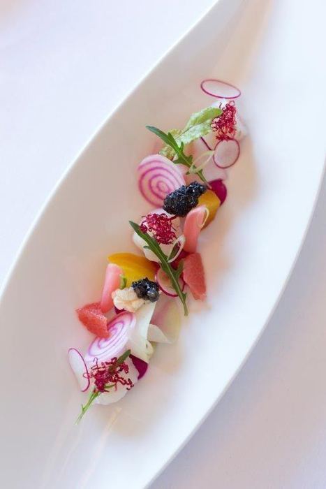 Gerecht 8